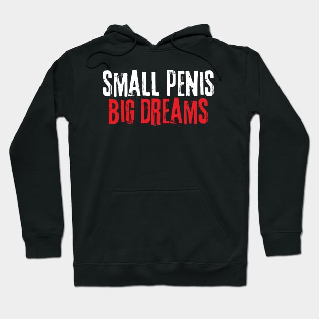 Small Penis Big Dreams Hoodie by oneduystore